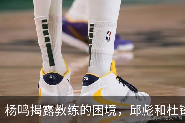 杨鸣揭露教练的困境，邱彪和杜锋的小团队行为是否成为自保策略？